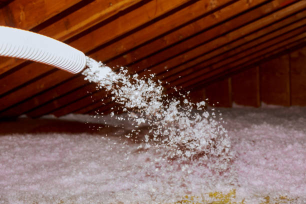 Best Geographic-Specific Insulation Services in Collingdale, PA